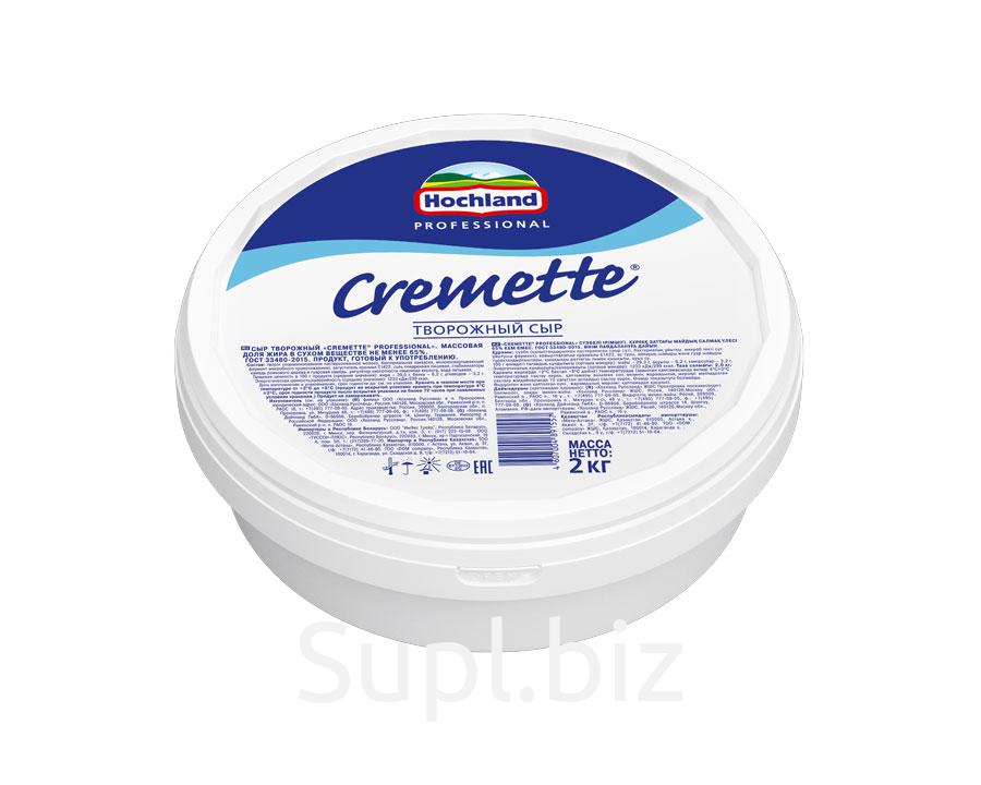 Сыр творожный "Cremette Professional", 3шт*2кг, цена 2697.65 RUB ...