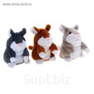 Мягкая интерактивная игрушка-повторюшка "Хомяк", цвета МИКС
