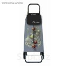 Сумка-тележка Rolser IMX040 bodegon Logic RG