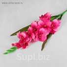 Цветы искусственные "Гладиолус Графиня" 10*90 см, малиновый