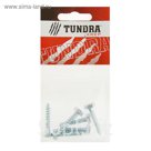 Болт сантехнический DIN 571 TUNDRA krep, 6х30 мм, цинк,в пакете 6 шт.