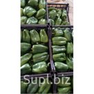 Перец Иорданский
