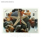 Часы настенные прямоугольные "Ракушки", 25х35 см