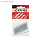 Гвозди финишные TUNDRA krep, 2х60 мм, оцинкованные, 20 шт.