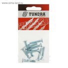 Винт DIN965 TUNDRA krep, с потайной головкой, оцинк. М6х30 мм, в пакете 10 шт.