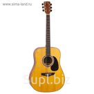 Электроакустическая гитара Naranda  DG350S-CE