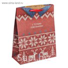 Пакет крафтовый вертикальный «Тёплый свитер», 12 × 15 × 5,5 см