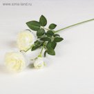 Цветы искусственные "Роза терция" 8*60 см, белый