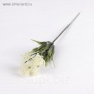 Букет "Амми" 15 см (цена за шт), микс