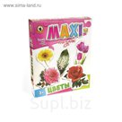 Макси пазлы "Цветы"