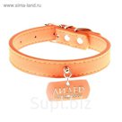 ошейник нубук с медальоном Лидер (оранжевый с фурнитурой серебро) 2,0*40 см