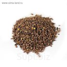 Семена Редька Масличная 30кг