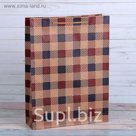 Пакет крафт "Клетка", 12 х 15,5 х 5,5 см