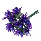 В набор входит: Букетик из 10 цветков.. 
Дополнительная информация: ВНИМАНИЕ! Цвет высылается случайный!. 
Производитель: -. 
Вид: цветы, листья. 
Размер: диам…