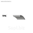 Ремень приводной Gates 7PK1645