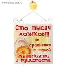 Магнит полистоун "Сто тысяч хомяков"