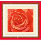 НИК 9512 Роза (круговая техника) - схема для вышивания Конёк