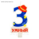 Свеча в торт цифра 3 "Умный"