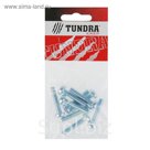 Винт DIN7985 TUNDRA krep, с полукруглой головкой, М6х30 мм, оцинкованный, 9 шт.
