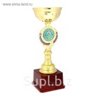 Кубок "Лучший директор"