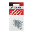 Гвоздь строительный TUNDRA krep 2х40 мм оцинкованный в упаковке 20 шт