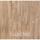Паркетная доска Focus Floor Ясень Клоуди