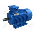 Электродвигатели А200L2