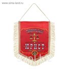 Вымпел "Гениальный юрист"