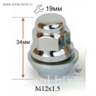 Гайка M12*1,50*34 вращ. конус, закрытая, Форд, кл. 19 мм, хром, 20 шт.