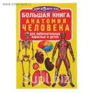 Большая книга «Анатомия человека»