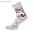 Носки женские махровые ЖЗ-9069 цвет МИКС, р-р 23-25