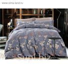 КПБ 1,5 сп Oblivion, 150х215 см, 145х210 см, 52х74 см-2 шт., сатин