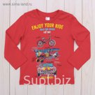 Джемпер для мальчика, рост 92 см, цвет красный