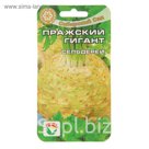Семена Сельдерей "Пражский гигант" корневой, 0,5 г