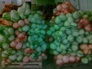 капуста белокачанная