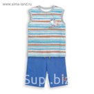Комплект (футболка+шорты) для мальчика, рост 122 см, цвет голубой BFAVH4021