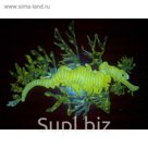 Морской конёк силиконовый SEA DRAGON