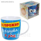 Кружка "Сошел с ума", 300 мл