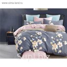 КПБ Tale 2 сп., 215х220 см, 175х210 см, 52х74 см-2 шт., сатин