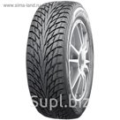 Зимняя нешипуемая шина Nokian Hakkapeliitta R2 245/50 R18 104R