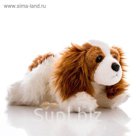 AURORA Игрушка мягкая Кинг чарльз спаниель 28 см