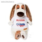 Мягкая игрушка "Бартоломей" в футболке с принтом Россия, 33 см