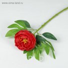 Цветы искусственные "Пион", красный