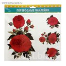Наклейка-переводка "Красный пион"