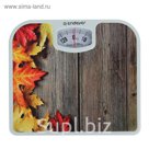 Весы напольные Endever Aurora-534, механические, до 130 кг, "Листья"