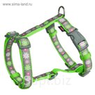 Шлейка-Н Trixie Blooms, XS–S: 30–40 см/15 мм, зеленый