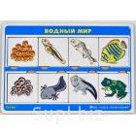 Общеразвивающие игры Чудеса преображений " Водный мир"