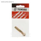 Болт анкерный с гайкой TUNDRA krep, 10х50 мм, в пакете 1 шт.