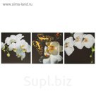 Модульная картина на подрамнике "Бабочка", 3 шт. — 28×28 см, 28×84 см