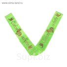 Лента на капот V-образная "Совет да любовь", атлас с резинками, 320*10 см, салатовая